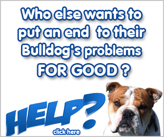 Dog Training Solution