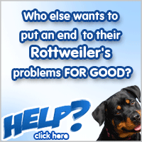 Rottweiler Training