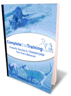 Cat Behavior and Cat Training Products   Read This Before You Buy picture