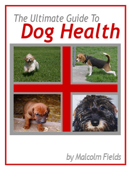 The Ultimate Guide to Dog Health