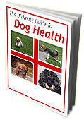 dog health