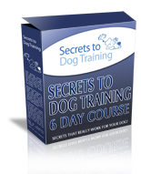  Secrets to Dog Training Free 6 Day Course