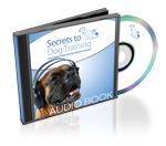 Audio Book