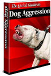 Dog Aggression