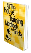 House Training