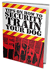 Secrity Training