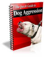 Dog Aggression