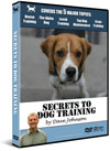Secrets to Dog Training