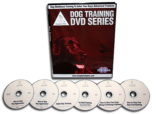 DVD Upgrade