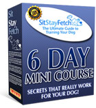  Secrets to Dog Training Free 6 Day Course