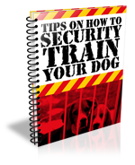 Security