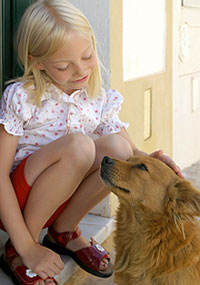 separation anxiety solutions secrets to weekly newsletter separation anxiety solutions secrets to weekly newsletter