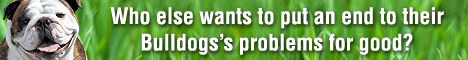 bulldog train french puppy crate technique benefits training using