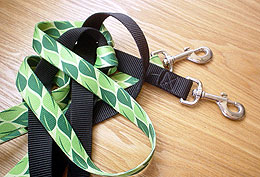 leash