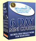  SitStayFetch Free 6 Day Course