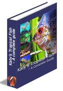 Katy's Tropical Fish book cover