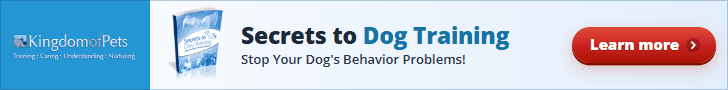 Secrets to Dog Training: Stop Your Dog's Behavior Problems! Shown with the eBook cover.