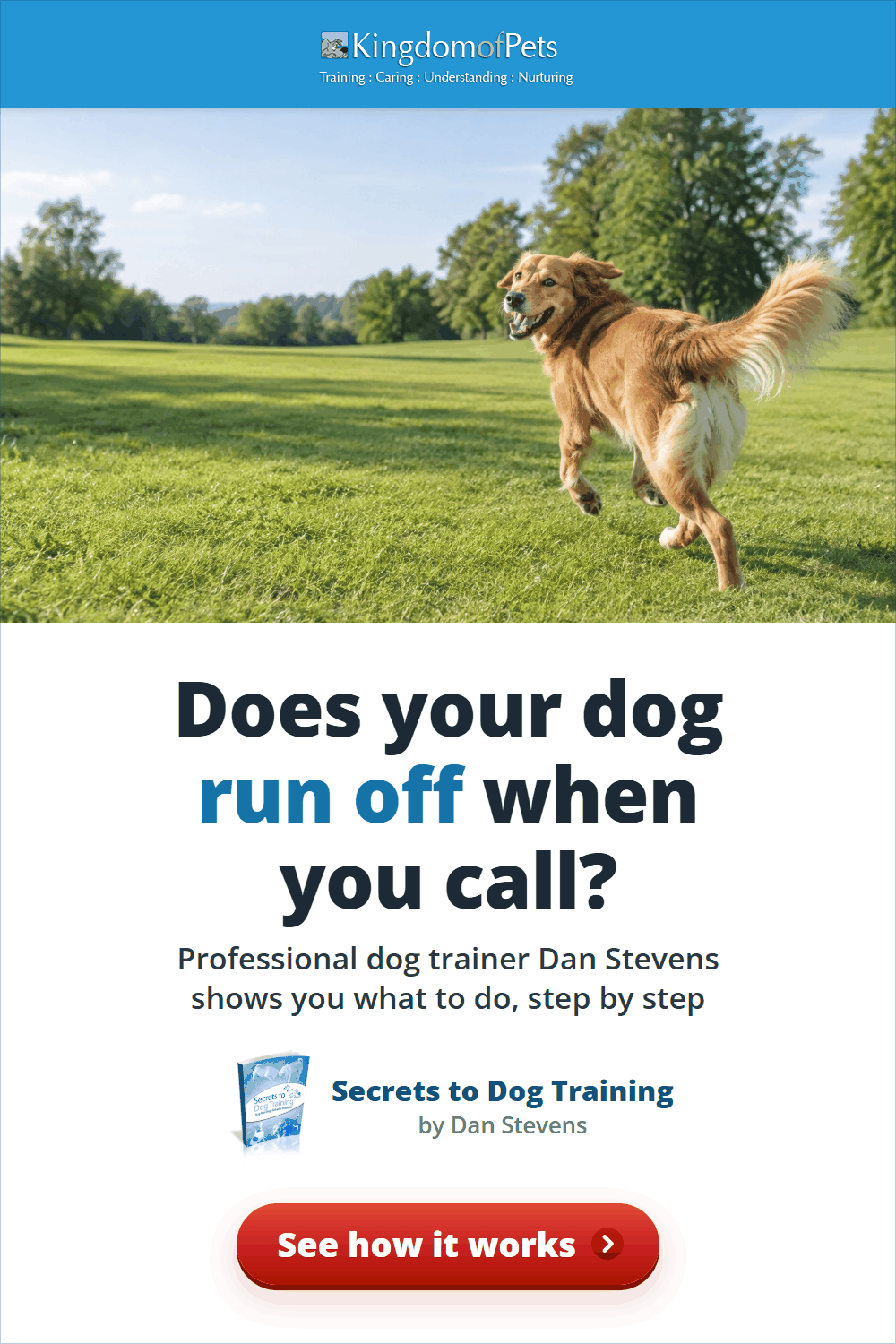 Does your dog run off when you call? Professional dog trainer Dan Stevens shows you what to do, step by step. Photo of a golden dog running off across a park.