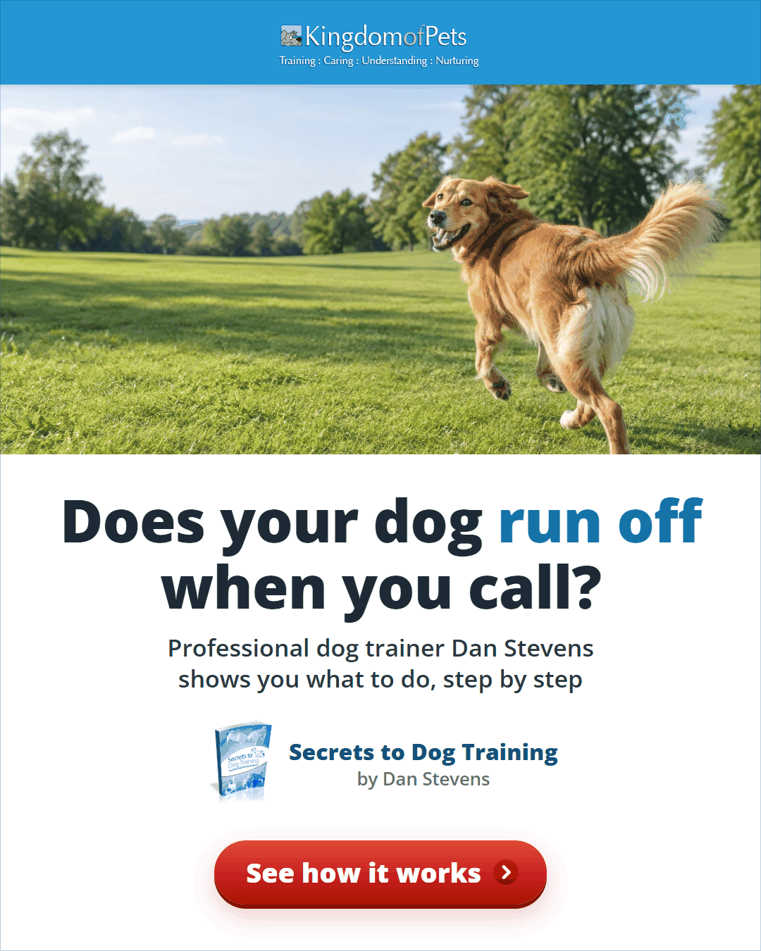 Does your dog run off when you call? Professional dog trainer Dan Stevens shows you what to do, step by step. Photo of a golden dog running off across a park.