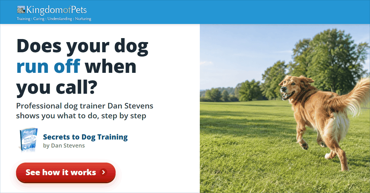 Does your dog run off when you call? Professional dog trainer Dan Stevens shows you what to do, step by step. Photo of a golden dog running off across a park.