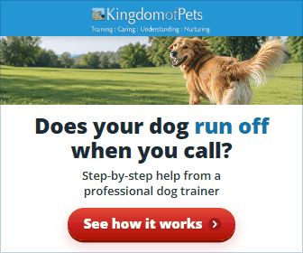 Does your dog run off when you call? Step-by-step help from a professional dog trainer. Photo of a golden dog running off across a park.