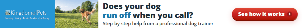 Does your dog run off when you call? Step-by-step help from a professional dog trainer. Photo of a golden dog running off across a park.