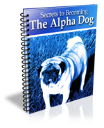 Secrets to Becoming the Alpha Dog eBook cover