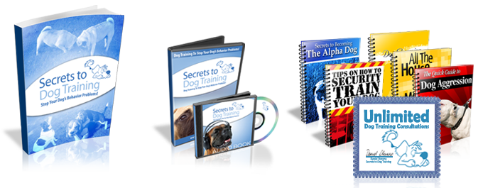 Secrets to Dog Training package: the eBook, video program, audio book, bonus eBooks and consultations certificate