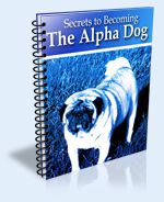 Secrets to Becoming the Alpha Dog