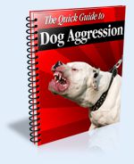 A Quick Guide to Dog Aggression