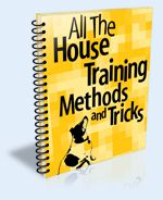 All The House Training Methods & Tricks