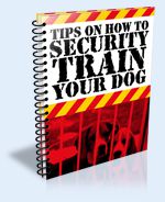 Tips On Security Training Your Dog
