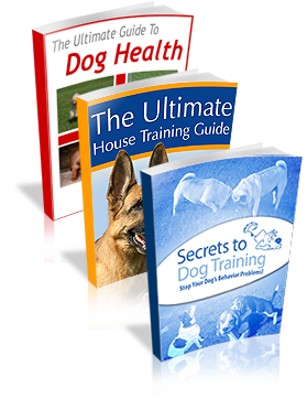 The Dog Training Mastery Multimedia Package