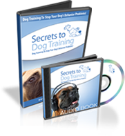 Secrets to Dog Training video program